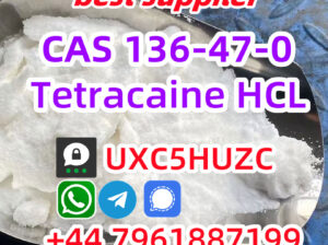 CAS 136-47-0 Tetracaine hydrochloride High Purity