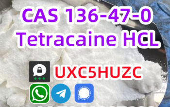 CAS 136-47-0 Tetracaine hydrochloride High Purity
