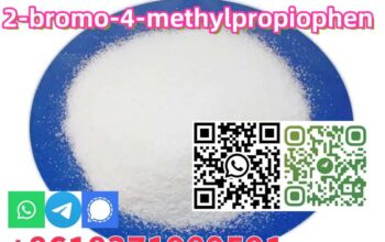2-bromo-4-methylpropiophen CAS 1451-82-7 on hot sa