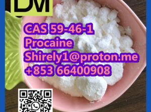 CAS 59-46-1 Procaine