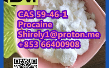 CAS 59-46-1 Procaine