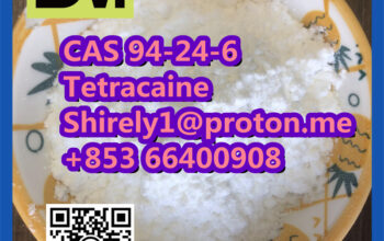 CAS 94-24-6 Tetracaine high quality