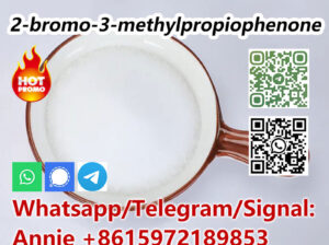 CAS 1451-83-8 C10H11BrO White Methyl Powder 2-bro