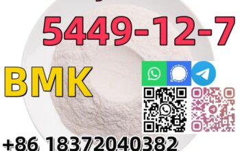 Buy Best Price CAS 5449-12-7 BMK Glycidic Acid