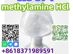 Hot sales CAS 593-51-1 methylamine HCl with good q