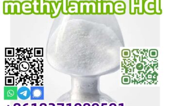 Hot sales CAS 593-51-1 methylamine HCl with good q