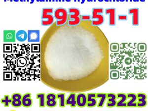 Europe warehouse CAS 593-51-1 Methylamine hydrochl