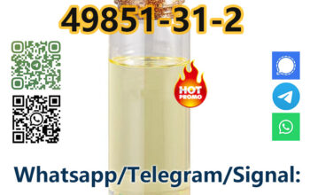 CAS 49851-31-2 2-Bromo-1-Phenyl-Pentan-1-One facto