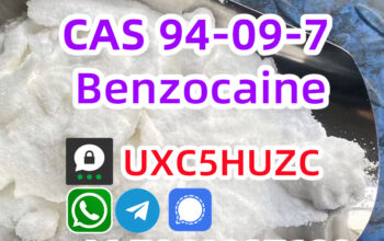 CAS94097 powder Benzocaine supplier Benzocaine Doo