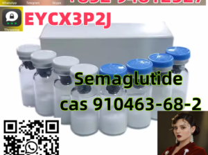 China Factory High Quality Peptides Semaglutide 91