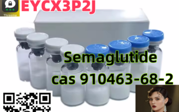 China Factory High Quality Peptides Semaglutide 91