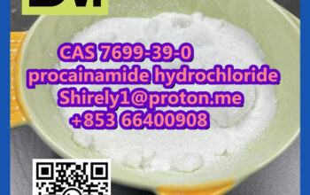 CAS 7699-39-0 procainamide hydrochloride