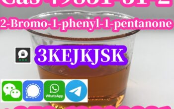 الشركة المصنعة الصينية 2-Bromo-1-phenyl-1-pentanon