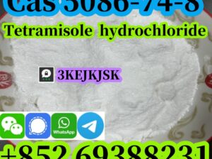مسحوق هيدروكلوريد التتراميسول كاس 5086-74-8 جودة م