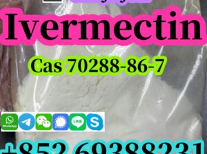 مصنع صيني يوفر إيفرمكتين كاس 70288-86-7 نقي بنسبة