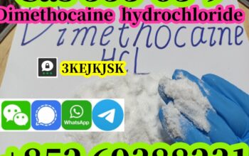 مسحوق ديميثوكايين مضمون الجودة Cas 94-15-5 ديميثوك