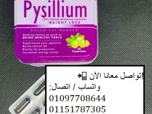 بيسيليوم الانجليزي