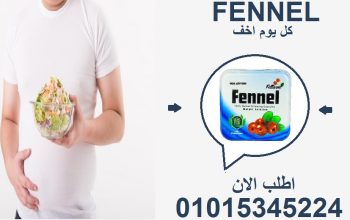 التخسيس الذكي يبدأ من هنا… كبسولات فينيل! 🧠💪