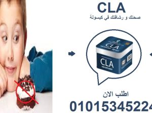 خسارة دهون من غير خسارة عضل CLA هو الحل!
