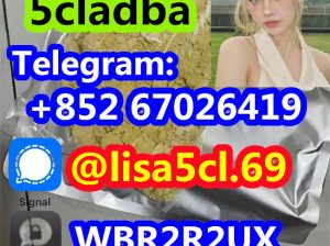 High Quality Protonitazene Hcl Cas 119276-01-6