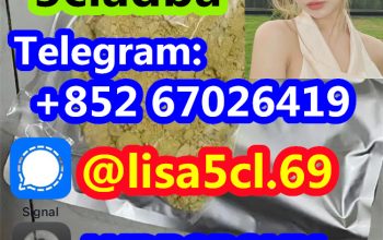 High Quality Protonitazene Hcl Cas 119276-01-6