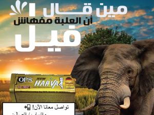 الحلويات نقطة ضعفك؟! مع نيو هارفا هتسيطري عليها !