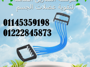 سوستة التمارين المذهلة لتقوية عضلات الجسم