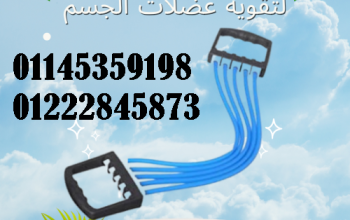 سوستة التمارين المذهلة لتقوية عضلات الجسم