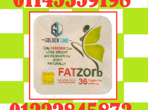 مع فات زورب – Fat Zorb
