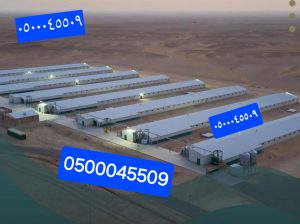 هناجر ومستودعات
