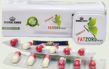 فات زورب بلس FAT ZORB PLUS أفضل المنتجات للتخسيس