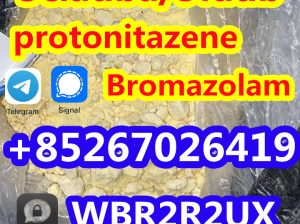 High Quality Protonitazene Hcl Cas 119276-01-6