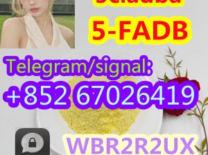 Strong cannabinoid 5cladba, factory price ，safe pa