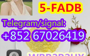 Strong cannabinoid 5cladba, factory price ，safe pa
