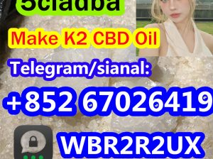 High quality product CAS 71368-80-4 Hot sale