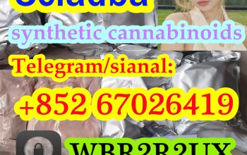 5cladba raw material 5CL-ADB-A precursor raw 5clad