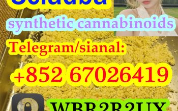 5F-AB-PINACA,5F-ADB,5cladb,5cladba,5cladbb,adbb，pr