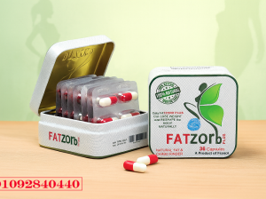 اخسري وزنك بسهولة مع FATZorb Plus – تركيبة طبيعية
