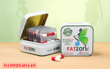 اخسري وزنك بسهولة مع FATZorb Plus – تركيبة طبيعية