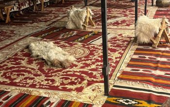 معارض ,جلسات مودرن ,كراسي ,طاولات ,كنب ملكي