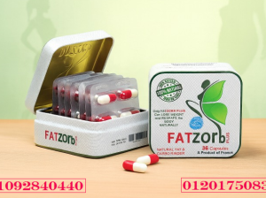 FATZorb Plus منتج طبيعي 100% بيساعدك على التخسيس