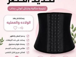 “مشد كيم الحراري: التشكيل الفوري والثقة”